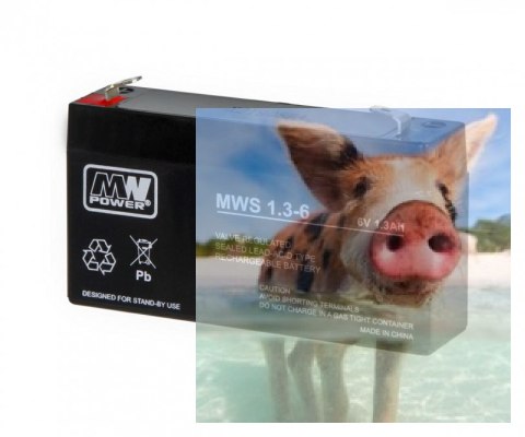 Pb 6V 1.3Ah bezobsługowy (waga 0.31kg, max. prąd ład. 0.3A, max. prąd rozł. 15A)