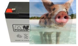 Pb 6V 12Ah bezobsługowy (waga 1.55kg, prąd ład. 4A, prąd rozład. 135A)