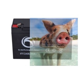 Pb 6V 12Ah bezobsługowy (waga 1.5kg)