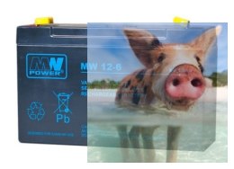 Pb 6V 12Ah bezobsługowy (waga 2.1 kg, prąd ład. 4A, prąd rozład. 135A)