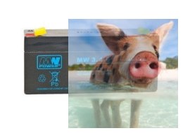 Pb 6V 3.4Ah bezobsługowy (waga 0.7kg, max. prąd ład. 1.2A, max. prąd rozład. 35A)