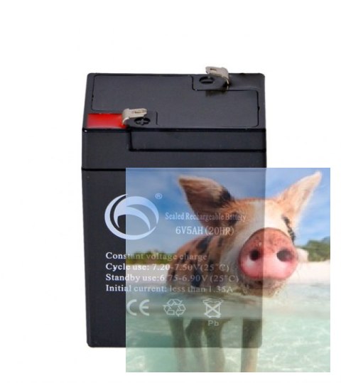 Pb 6V 5Ah bezobsługowy (waga 0.7kg)
