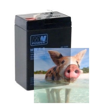 Pb 6V 5Ah bezobsługowy (waga 0.8kg, prąd ład. 1.5A, prąd rozład. 50A)