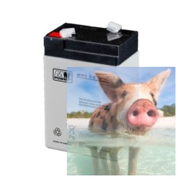 Pb 6V 5Ah bezobsługowy (waga 1kg, prąd ład. 1.5A, prąd rozład. 50A)