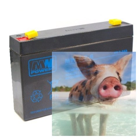 Pb 6V 7.2Ah bezobsługowy (waga 1.3kg, max. prąd ład. 2.1A, max. prąd rozład. 80A)