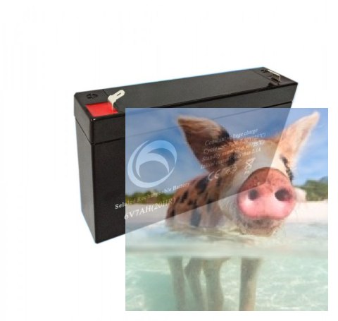 Pb 6V 7.2Ah bezobsługowy (waga 1kg)