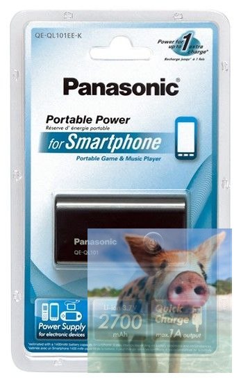 Power bank Panasonic QE-QL101EE-K