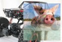 ROCK CRAWLER 4WD 1:10 - Czerwony POSERWISOWY (Uszkodzona elektronika)