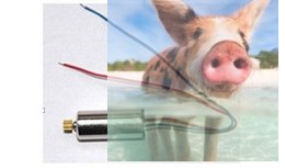 Silnik Yak-54 / Mini Cessna LX-1101