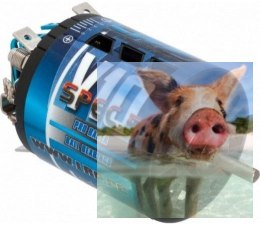 Silnik szczotkowy V10 SPEC5 12x2