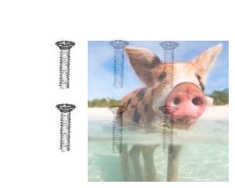 Śruby samogwintujące z łbem stożkowym 2.6*10 - 86079