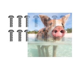 Śruby samogwintujące z łbem stożkowym 2.6*6 - 86069