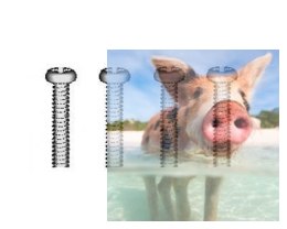 Śruby samogwintujące z zaokrągloną główką 3*18mm 4szt - 86076