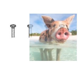 Śruby z łbem stożkowym 2.6 * 6 - 86080