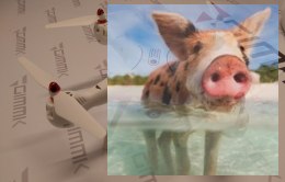 Syma X8 Pro (GPS, kamera FPV 1MP WiFi, 2.4GHz, headless, zasięg do 70m, 50cm) - UŻYWANY (sprawny)