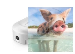 ZEROTECH DOBBY (kamera 4K HD, GPS,WiFi,sterowanie poprzez smartphona, kompaktowe wymiary) - POSERWISOWY_2