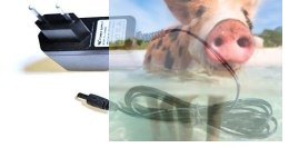 Zasilacz 10V 800mA 8W