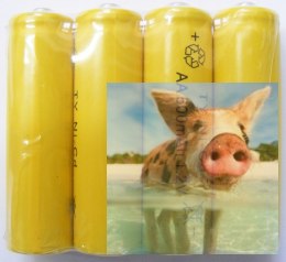 Zestaw akumulatorków Xtreme 1.2V 500mAh Ni-Cd 4 szt.