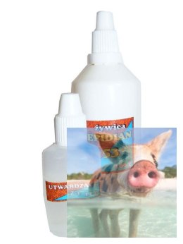 Żywica Epidian 53 100g