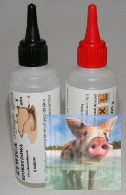 Żywica Epoxy 5min 200g
