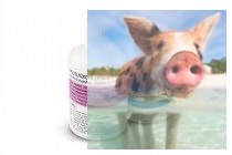 Żywica epoksydowa L285 100g z utwardzaczem 40g