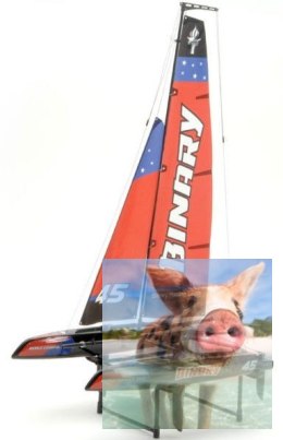 Binary Catamaran RTR (2.4GHz, 2CH, Wysokość 710mm, Długość 390mm) - Czerwona