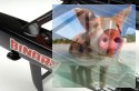 Binary Catamaran RTR (2.4GHz, 2CH, Wysokość 710mm, Długość 390mm) - Czerwona