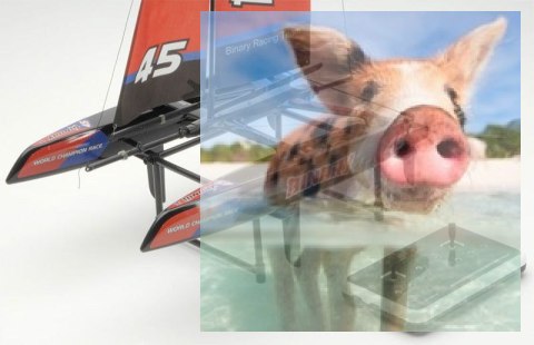 Binary Catamaran RTR (2.4GHz, 2CH, Wysokość 710mm, Długość 390mm) - Czerwona Binary Catamaran RTR (2.4GHz, 2CH, Wysokość 710mm, Długość 390mm) - Czerwona