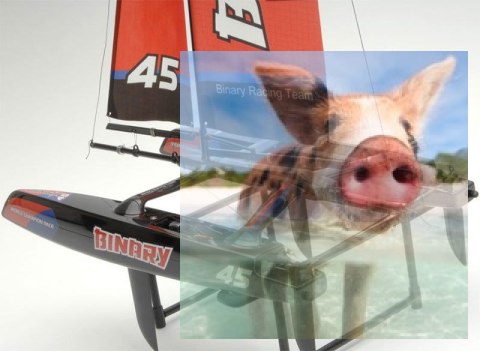 Binary Catamaran RTR (2.4GHz, 2CH, Wysokość 710mm, Długość 390mm) - Czerwona Binary Catamaran RTR (2.4GHz, 2CH, Wysokość 710mm, Długość 390mm) - Czerwona