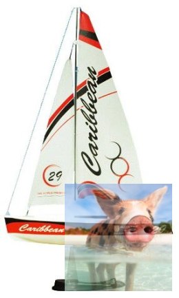 Caribbean 1:46 RTR (2.4GHz, 2CH, Wysokość 435mm, Długość 260mm) - Czerwony