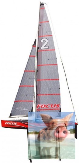 Focus II RTR (2.4GHz, 4CH, Wysokość 2042mm, Długość 995mm)