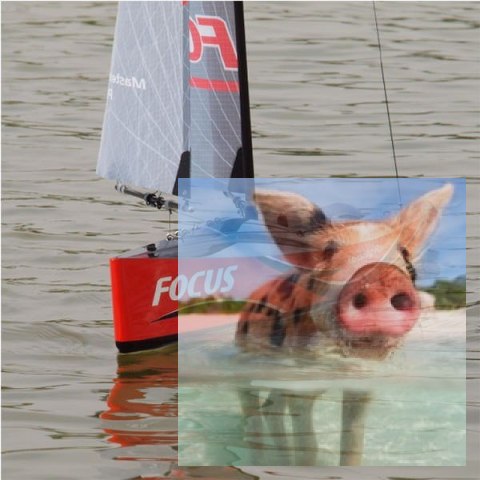 Focus II RTR (2.4GHz, 4CH, Wysokość 2042mm, Długość 995mm)