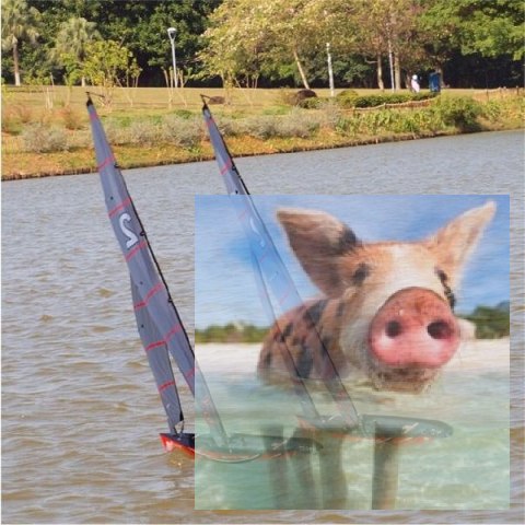 Focus II RTR (2.4GHz, 4CH, Wysokość 2042mm, Długość 995mm)