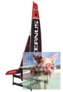 Force Catamaran RTR (2.4GHz, 4CH, Wysokość 1117mm, Długość 660mm)