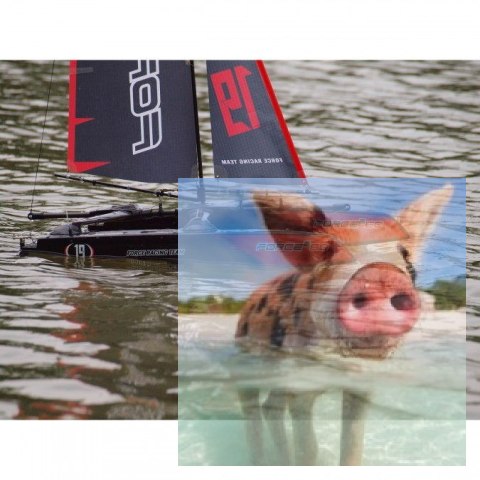 Force Catamaran RTR (2.4GHz, 4CH, Wysokość 1117mm, Długość 660mm) Force Catamaran RTR (2.4GHz, 4CH, Wysokość 1117mm, Długość 660mm)