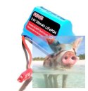 Joysway akumulator 200mAh 9.6V LiFePO4