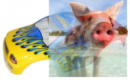 Karoseria do DIRT DEMON