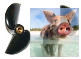 Komplet śrub M3 35L i 35P - Racing Boat