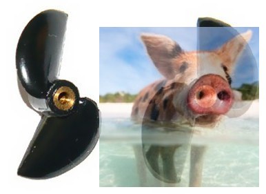 Komplet śrub M3 35L i 35P - Racing Boat