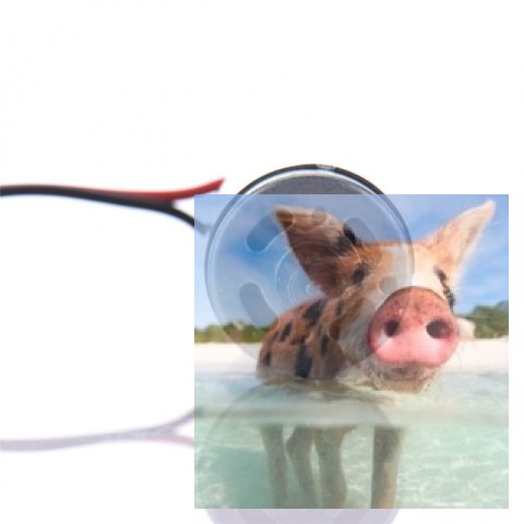 Silnik 390 9.6V z zębatką do XLH-9115/9116