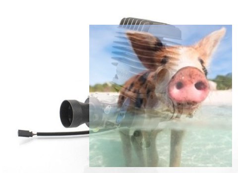 Silnik benzynowy TP 60 (dwusuwowy)