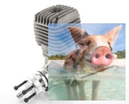 Silnik benzynowy TP 60 (dwusuwowy)