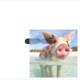 Śmigło ogonowe 3cm - S107G-03D