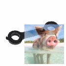 Sprzączka 11,5mm 1szt. - S107G-05B