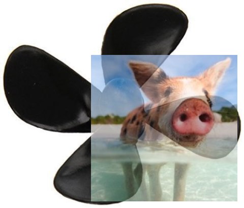 Śruba 4-łopatowa Marine 70mm M5