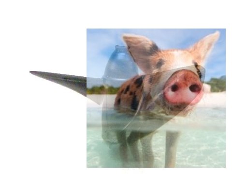 Śruba Carbon Hydro-K Series M4 39L