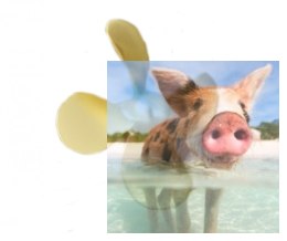 Śruba M3 40mm z tworzywa sztucznego do łodzi holowniczej