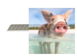 Maxx Knives - Łamane ostrza 9mm do noży 50010 i 50014 5szt