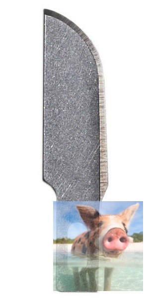 Maxx Knives - Zamienne ostrza #10 o zakrzywionej krawędzi do noży 50003, 50030-50036 5szt