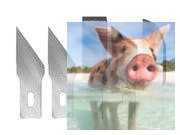 Maxx Knives - Zestaw 5 ostrzy (#18, #19, #22, #24) zamiennych do noży 50005, 50006, 50015